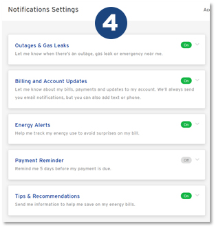 Notification and Alerts Settings