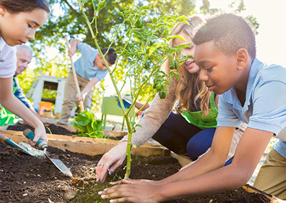 kids planting trees