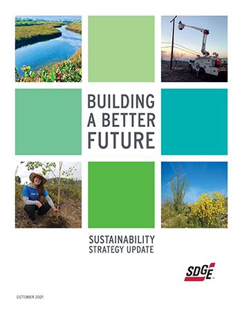 cover of sustainability report image