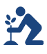 Tree Planting Guide Icon