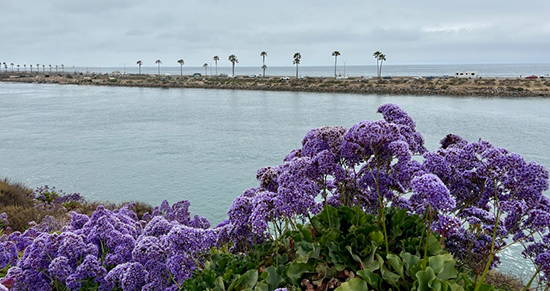 Agua Hedionda Lagoon