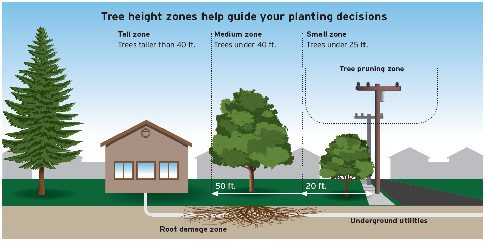 Tree Height Zones chart