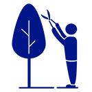 vegetation management