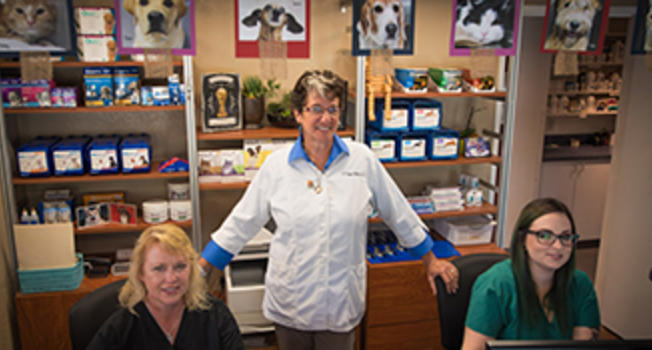 Girsl Working on Computer