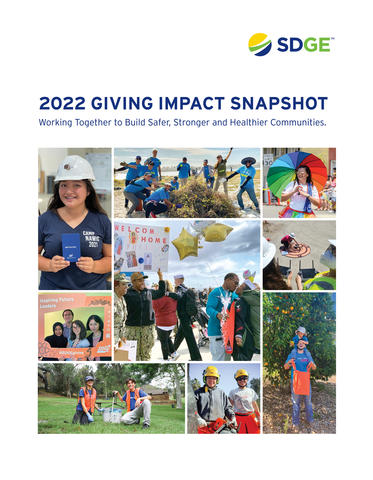 giving impact snapshot cover